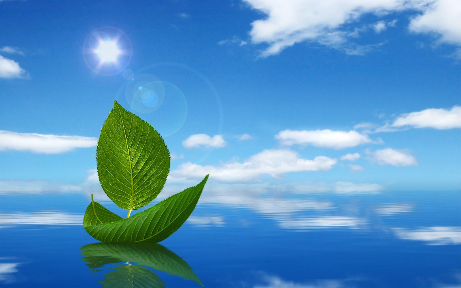 Thuận Theo Tự Nhi&ecirc;n, Nước Chảy Th&agrave;nh S&ocirc;ng - Sưu tầm